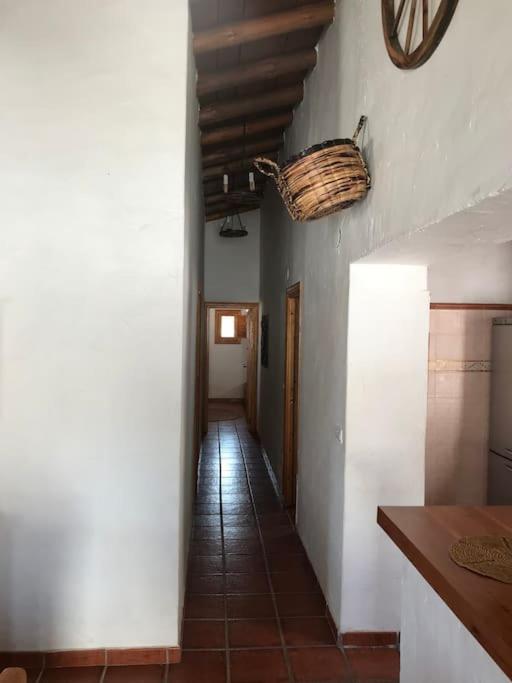 Villa Calabasas Almuñécar エクステリア 写真